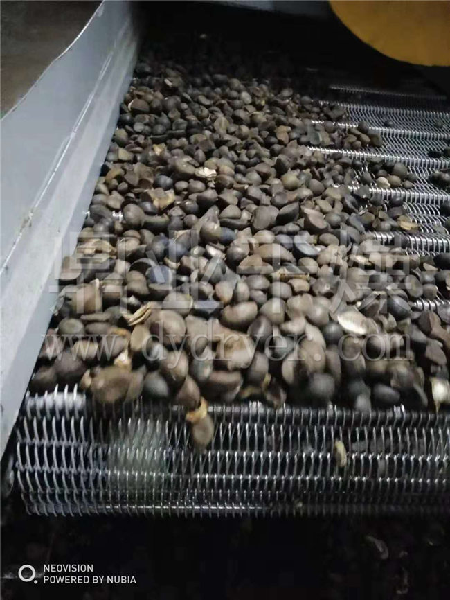 DW多层带式干燥机