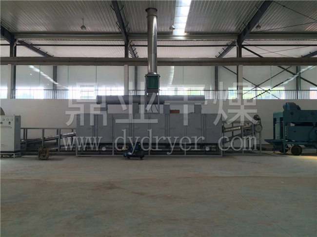 油茶果烘干机，油茶果烘干设备带式干燥机